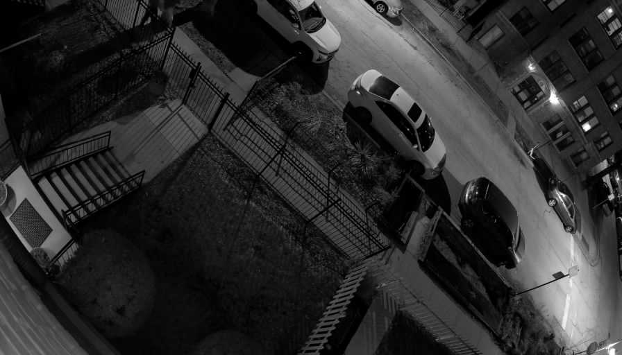 Reolink Camera Two_01_Reolink Home Hub One_20260321200645.jpg